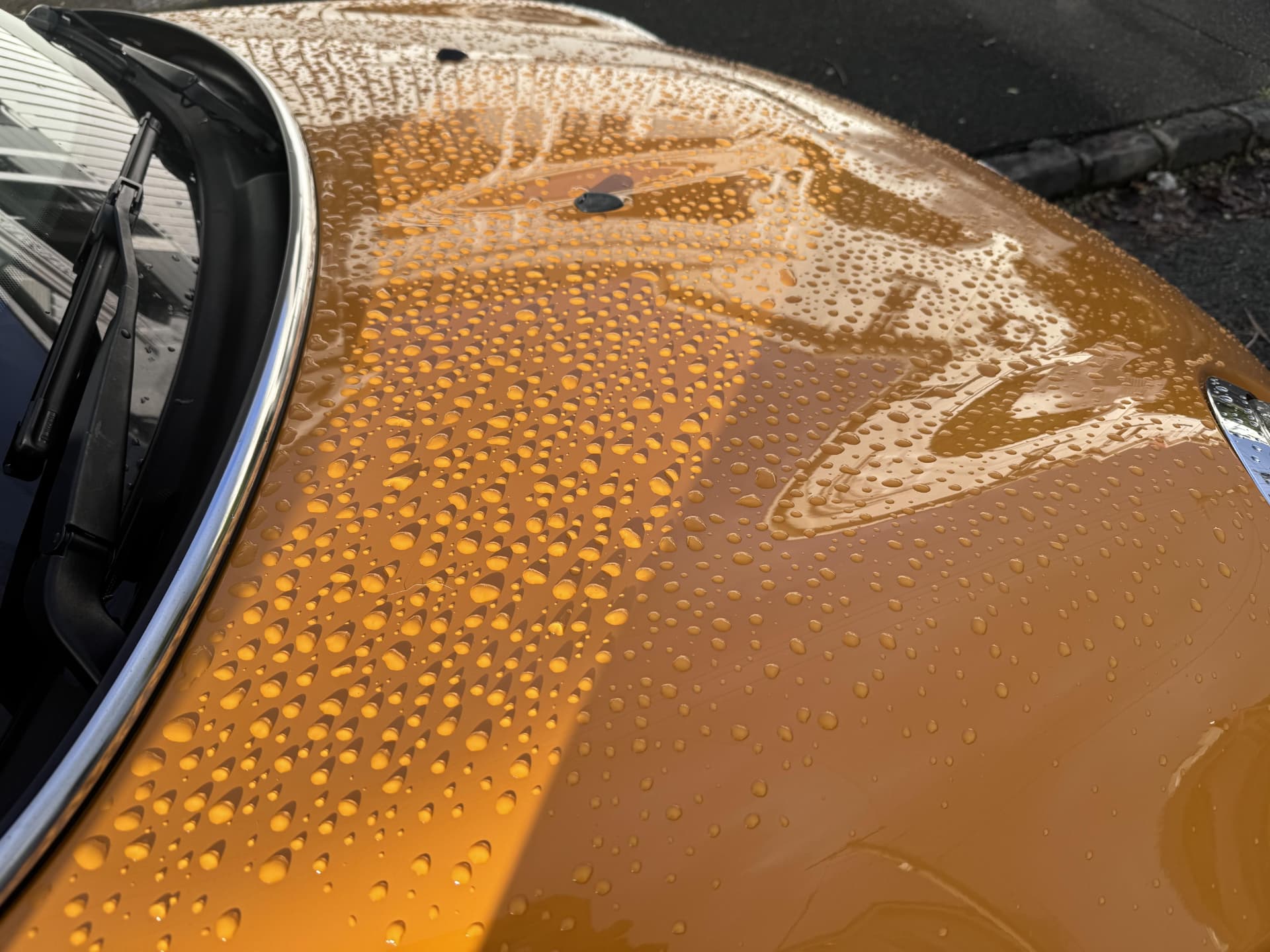 Ceramic Paint Sealant